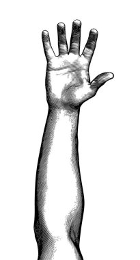 Monokrom vintage oymalı çizim beyaz arkaplanda izole edilmiş erkek el vektörü ön kol çizimi kaldırdı