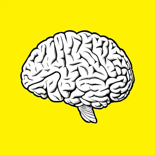 黄色背景下分离的单色漫画脑向量图的抽象绘制 矢量图形