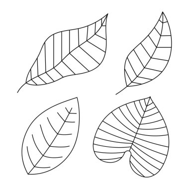 Beyaz arka plan üzerinde elle çizilmiş yapraklar