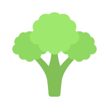  Beyaz arkaplanda brokoli sebzesi, vektör illüstrasyonu