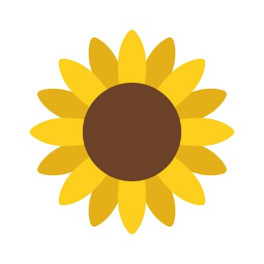 ayçiçeği izole edilmiş ikon vektör illüstrasyon tasarımı