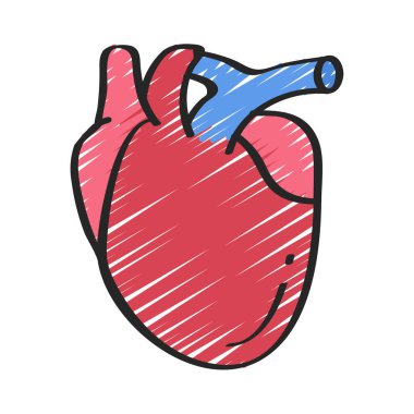 İnsan kalbi organı izole edilmiş vektör tasarımı