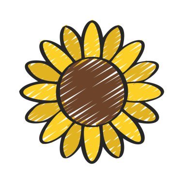 ayçiçeği izole edilmiş ikon vektör illüstrasyon tasarımı