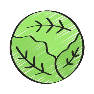 Lahana Web simgesi vektör illüstrasyonu