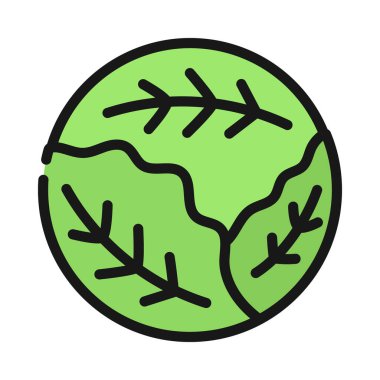 Lahana Web simgesi vektör illüstrasyonu