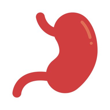 Mide Organı ikon vektör illüstrasyon tasarımı