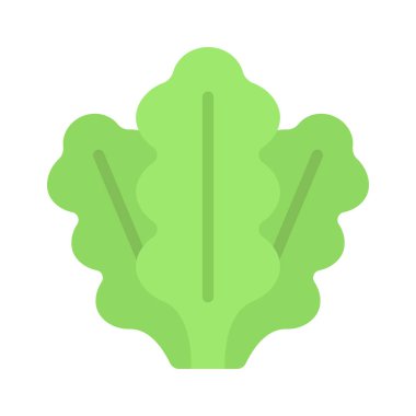 Marul Salatası Yaprakları, vektör çizimi    