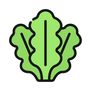 Marul Salatası Yaprakları, vektör çizimi    