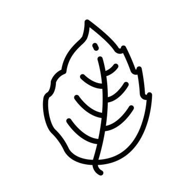 Beyaz arkaplanda yaprak simgesi, vektör illüstrasyonu 