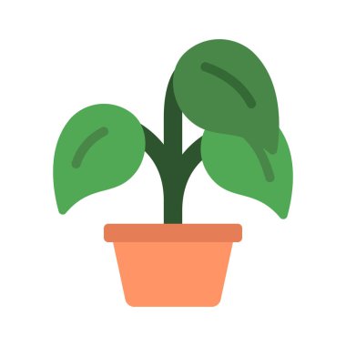 Peperomia web simgesi düz tasarım, vektör illüstrasyonu