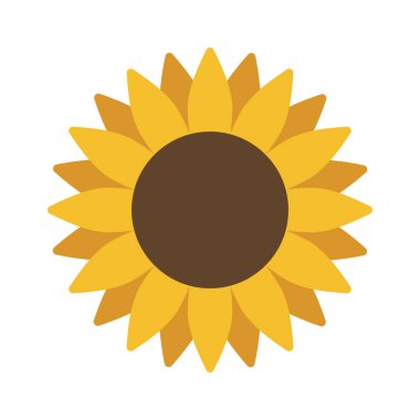 ayçiçeği izole edilmiş ikon vektör illüstrasyon tasarımı