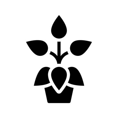 Peperomia web simgesi düz tasarım, vektör illüstrasyonu