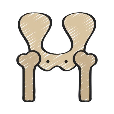 Pelvis Bones düz simgesi, vektör illüstrasyonu 