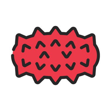 Deniz hıyarı simgesi, vektör illüstrasyonu basit tasarım