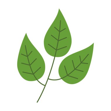 yeşil yaprakları kutsal kişilerin resmi, vektör çizim