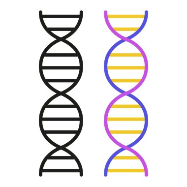 DNA Düzlüğü ve Özeti