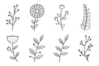 Siyah Doodle Botanik Çiçekleri