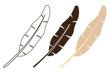 Özet olarak Tüy ve Düz