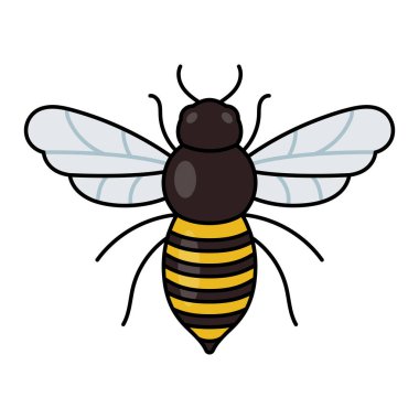 Arı Çizgi Film Biçimi simgesi, vektör