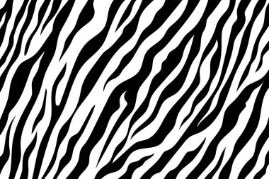 Siyah ve Beyaz Zebra Yazdırma Arkaplanı 