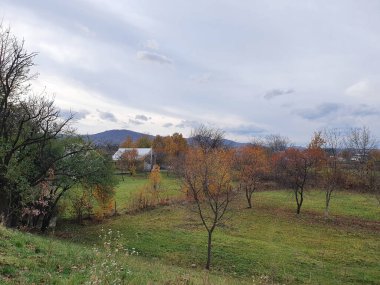 Sonbaharda Transcarpathia köyü, genç bahçe, dağ manzarası