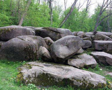 Park, bahar parkı, yosunla kaplı büyük taşlar ve yeşile dönmeye başlayan ağaçların etrafındaki doğa.