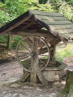 Ormandaki eski ahşap kuyu, kütük, ağaçlar, doğa