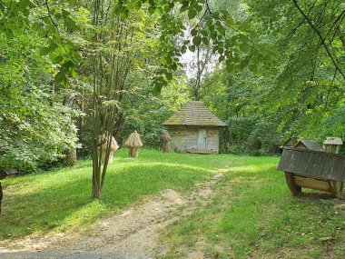 Eski bir Ukrayna köyünde Pasika, arı kovanları, ormandaki ev, doğa.