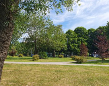 Şehir meydanı, yeşil ağaçlar, çimenler, doğa.