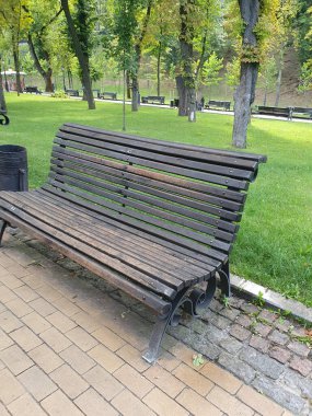 Güneşli bir yaz gününde, parktaki ahşap bankta dinleniyorum.