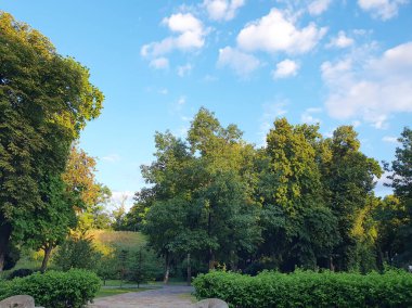 Yeşil güzel bir park, yaz gününde, mavi gökyüzüne karşı, doğa