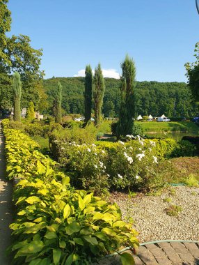 Yaz manzarası, şehir parkındaki manzara tasarımı, yeşil çalılar, ağaçlar, doğa.