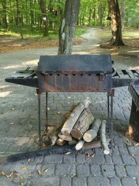 Yaz tatili, barbekü, odun, aktif eğlence.