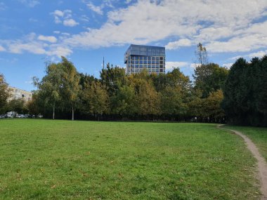 Sonbaharın başlarında park et, yeşil çimenler, ağaçlarda altın yapraklar, şehir parkında güneşli bir gün, doğa.