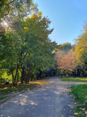Sonbahar parkında yürüyüş yolu, renkli ağaçlar, düşen yapraklar, altın sonbahar, doğa.