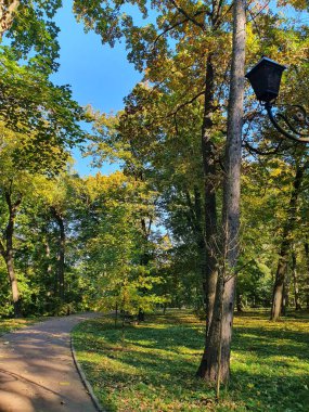 Sonbahar parkında yürüyüş yolu, renkli ağaçlar, düşen yapraklar, altın sonbahar, doğa.
