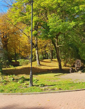 Sonbahar parkında yürüyüş yolu, renkli ağaçlar, düşen yapraklar, altın sonbahar, doğa.