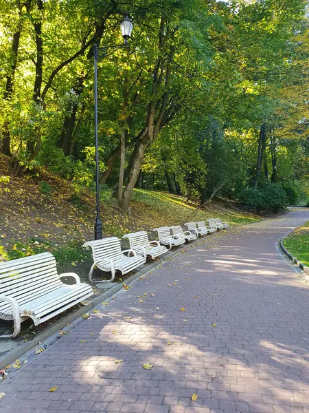 Bir sonbahar parkında, dinlenmek için bankların, renkli ağaçların, düşen yaprakların, altın sonbaharın, doğanın olduğu bir yol.