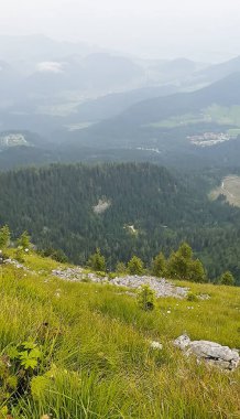 Yoğun sisin tepeleri kapladığı büyüleyici bir yaz manzarası gizemli ve rüya gibi bir atmosfer yaratıyor. Kozalaklı orman. Macera, meditasyon motifleri, ekoloji veya iç huzur için.