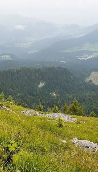 Yoğun sisin tepeleri kapladığı büyüleyici bir yaz manzarası gizemli ve rüya gibi bir atmosfer yaratıyor. Kozalaklı orman. Macera, meditasyon motifleri, ekoloji veya iç huzur için.