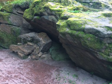 Yosun kaplı antik büyük kayalar ormanın yoğun yeşillikleri arasında yer almaktadır. Taşların doğal şekilleri var ve gizemli görünüyorlar. Antik kutsal bir yerin atmosferini yaratıyorlar.