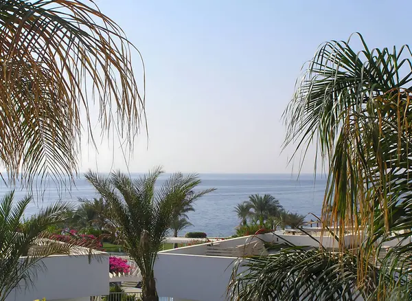 Güneş şezlongları ve beyaz şemsiyelerle çevrili lüks bir tatil yeri havuzu huzur ve rahatlama ortamı yaratır. Modern oteller, palmiye ağaçları ve bakımlı yeşillikler görülebilir