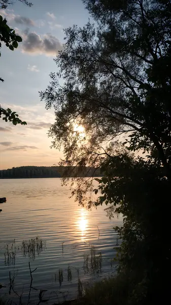 Güneşin son ışınlarının suda altın-pembe bir parıltı oluşturduğu bir nehrin üzerinde sihirli bir günbatımı. Sakin bir nehir yüzeyi. Doğa, seyahat, meditasyon veya ilham konseptleri için.