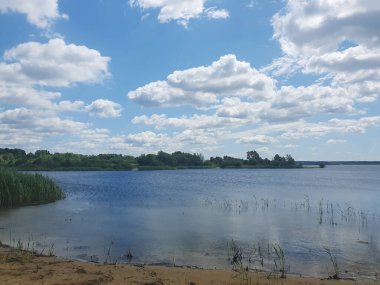 Açık mavi göl, sazlıklar ve kumlu kıyılar açık bir yaz gökyüzü altında yeşil ormanın arka planına karşı. Barışı, saflığı ve doğanın güzelliğini iletir. Açık hava eğlencesi, ekoloji, turizm temaları için