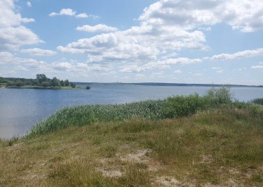 Açık mavi göl, sazlıklar ve kumlu kıyılar açık bir yaz gökyüzü altında yeşil ormanın arka planına karşı. Barışı, saflığı ve doğanın güzelliğini iletir. Açık hava eğlencesi, ekoloji, turizm temaları için