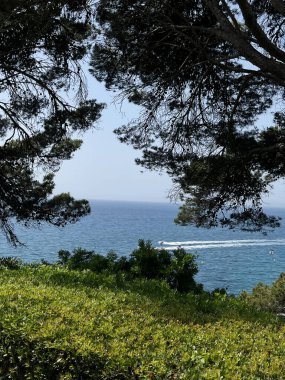 Sonsuz deniz manzarası güneşli bir yaz gününde bir ağacın kalın dallarına bakıyor. Parlak mavi gökyüzü, sıcak güneş ışınları ve sakin deniz yüzeyi bir uyum ve rahatlama atmosferi yaratır.