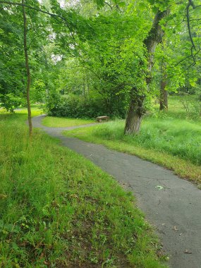 Şehir parkında güneşli bir yaz günü. Parlak yeşil çimenler, düzgün kaldırımlar ve gölgeli sokaklar yürümek ve dinlenmek için ideal bir yer. Temiz hava, yeşillik bolluğu, uyum havası.