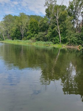 Yoğun yeşil bir ormanla çevrili sessiz bir nehir ya da göl. Aynaya benzeyen su, ağaçları ve gökyüzünü yansıtır. Doğayla bir barış ve birlik ortamı yaratır. Bulutlu açık yaz gökyüzü