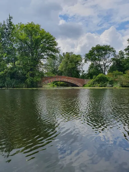 Yoğun yeşil bir ormanla çevrili sessiz bir nehir ya da göl. Aynaya benzeyen su, ağaçları ve gökyüzünü yansıtır. Doğayla bir barış ve birlik ortamı yaratır. Bulutlu açık yaz gökyüzü
