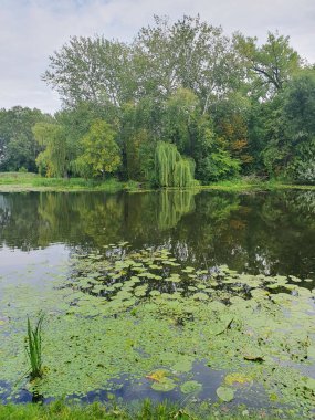 Yoğun yeşil bir ormanla çevrili sessiz bir nehir ya da göl. Aynaya benzeyen su, ağaçları ve gökyüzünü yansıtır. Doğayla bir barış ve birlik ortamı yaratır. Bulutlu açık yaz gökyüzü